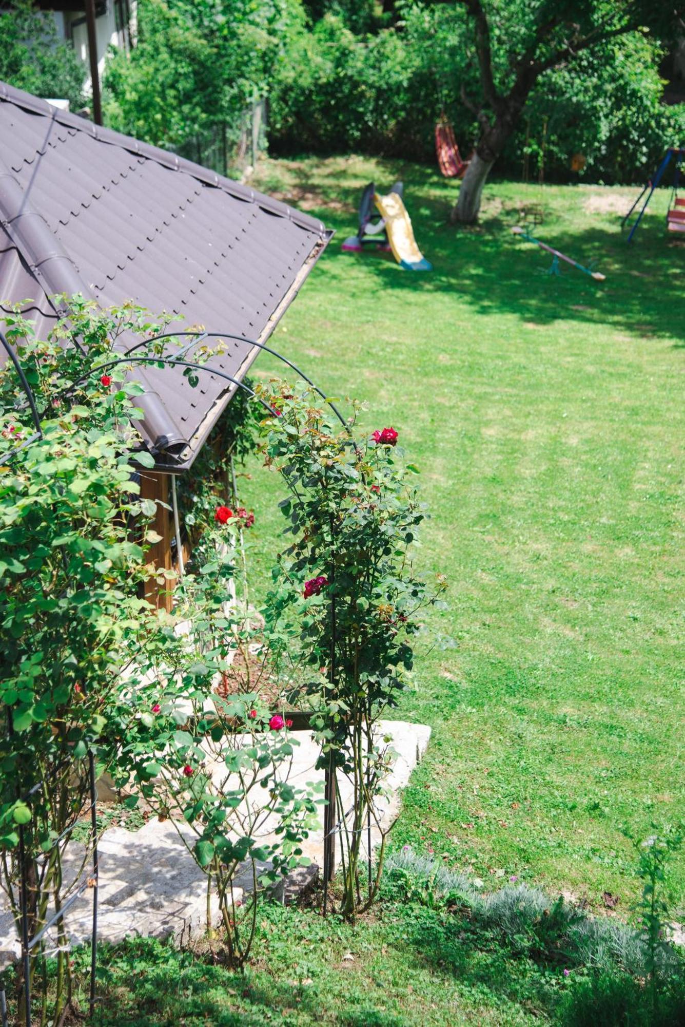 Apartmani Maslacak Vrdnik Esterno foto