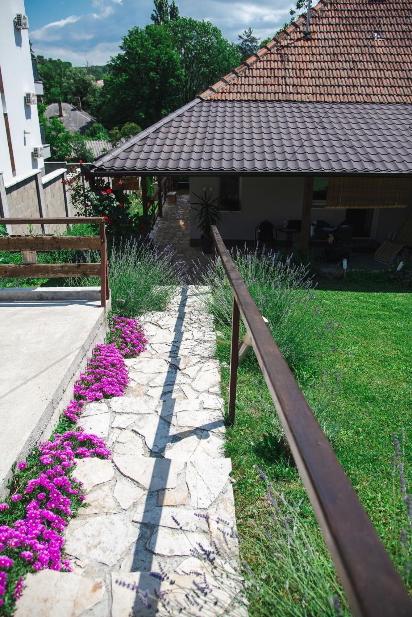 Apartmani Maslacak Vrdnik Esterno foto